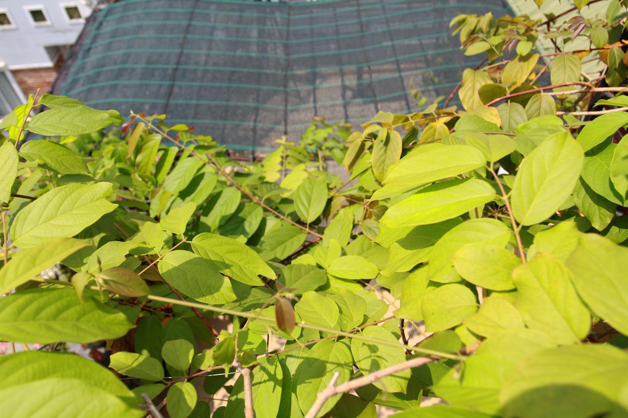 Ngoc Minh Hotel Ho Si Minh-város Kültér fotó